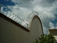 CONCERTINA Y ELECTRIFICADAS